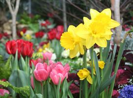 Spring Holiday Message