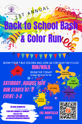 Back to School Bash Flier